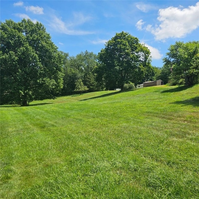 208 Center St, Daugherty Twp, PA 15066 - photo 11