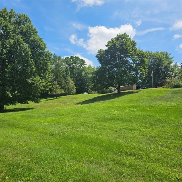 208 Center St, Daugherty Twp, PA 15066 - photo 14