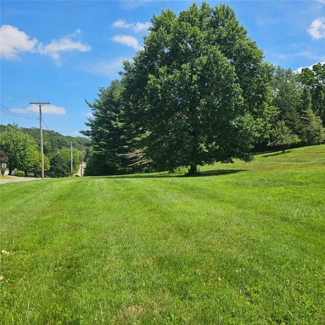208 Center St, Daugherty Twp, PA 15066 - photo 15