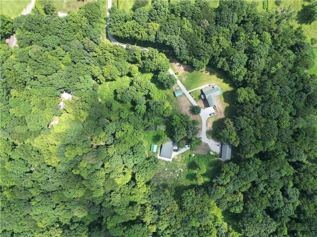 209 Channing Ln, Clearfield Twp, PA 16034 - photo 47