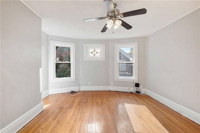 101 Grant Ave, Bellevue, PA 15202 - photo 5