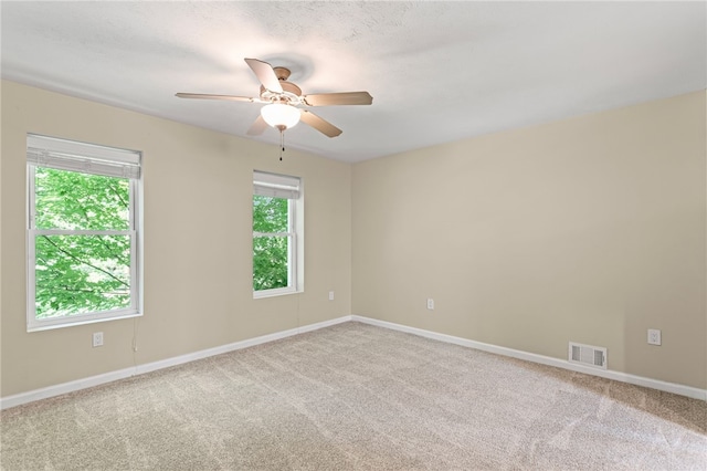 2815 Jane St, South Side, PA 15203 - photo 12