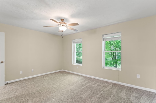 2815 Jane St, South Side, PA 15203 - photo 13