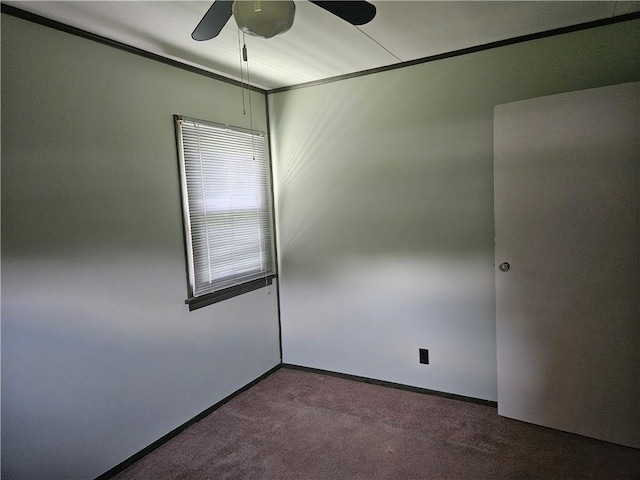 555 N Maple, Mercer Boro, PA 16137 - photo 10