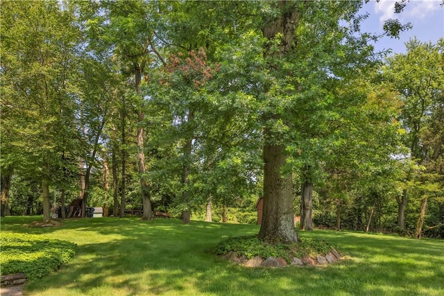 566 Saint Clair Dr, Penn Hills, PA 15147 - photo 37