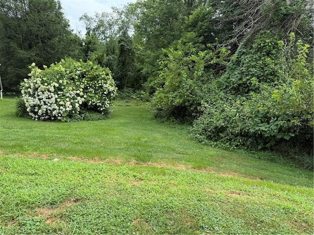 673 Old National Pike, Centerville, PA 15417 - photo 6