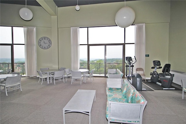 1150 Bower Hill Rd Unit 900C, Mt Lebanon, PA 15243 - photo 35