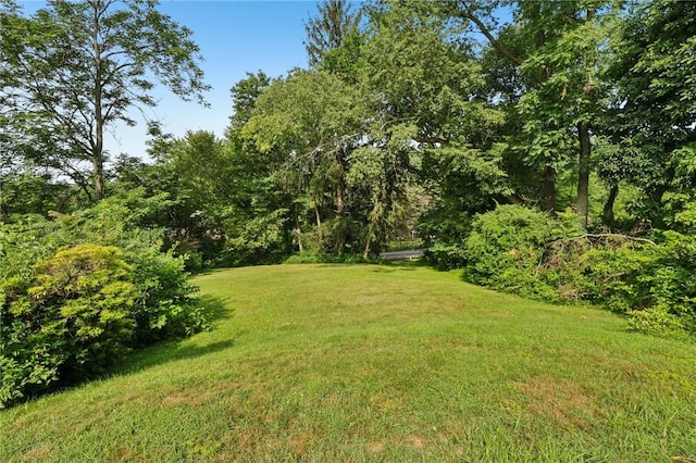 675 Meadow Ln, Rochester Twp, PA 15074 - photo 35