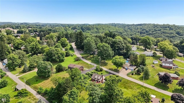 675 Meadow Ln, Rochester Twp, PA 15074 - photo 36