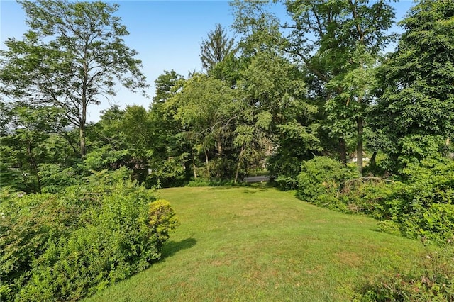 675 Meadow Ln, Rochester Twp, PA 15074 - photo 7