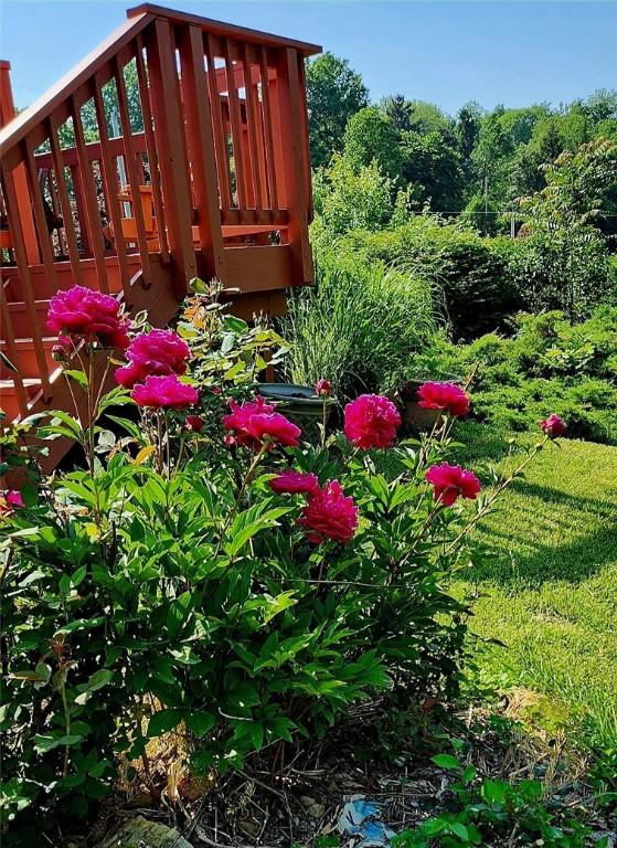 675 Meadow Ln, Rochester Twp, PA 15074 - photo 40