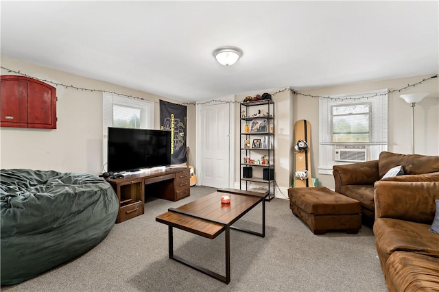 5905 Heckert Rd, Richland, PA 15007 - photo 27