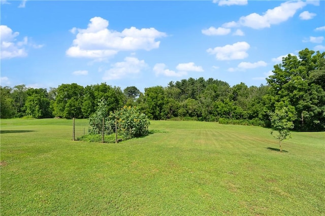 146 Larkspur Cir, Mount Pleasant Twp, PA 15666 - photo 6