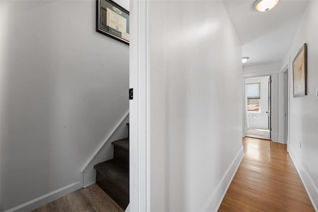 612 Peebles St, Regent Square, PA 15221 - photo 20