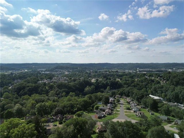 1360 Missouri Ave, Bridgeville, PA 15017 - photo 33