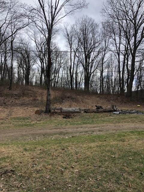 228 Gazebo Rd, Derry Twp, PA 15650 - photo 12