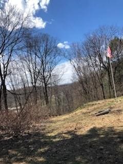 228 Gazebo Rd, Derry Twp, PA 15650 - photo 9
