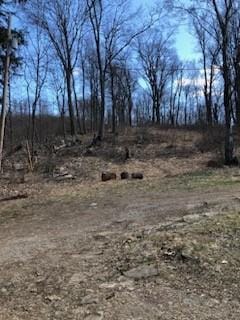 228 Gazebo Rd, Derry Twp, PA 15650 - photo 21