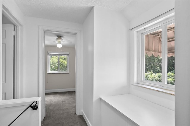 1318 Monongahela Blvd, White Oak, PA 15131 - photo 17