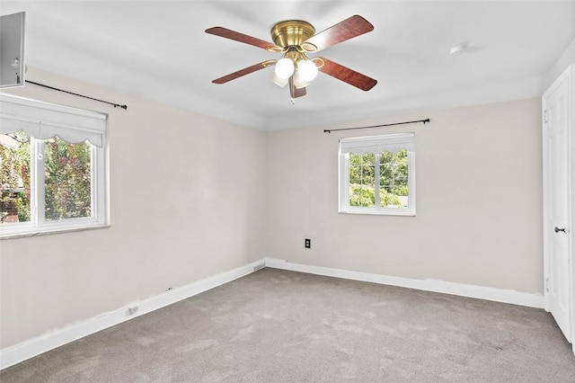 1318 Monongahela Blvd, White Oak, PA 15131 - photo 19