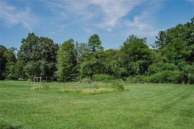 127 Lower Twolick Dr, White Twp, PA 15701 - photo 8