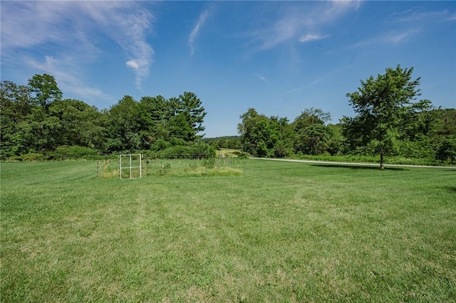 127 Lower Twolick Dr, White Twp, PA 15701 - photo 10