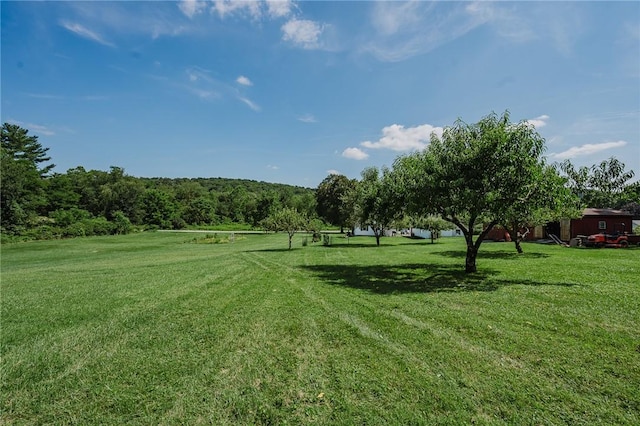 127 Lower Twolick Dr, White Twp, PA 15701 - photo 12