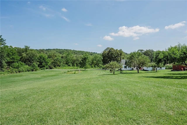 127 Lower Twolick Dr, White Twp, PA 15701 - photo 13