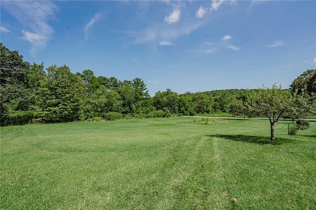127 Lower Twolick Dr, White Twp, PA 15701 - photo 16