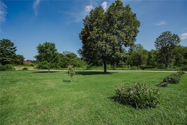 127 Lower Twolick Dr, White Twp, PA 15701 - photo 48