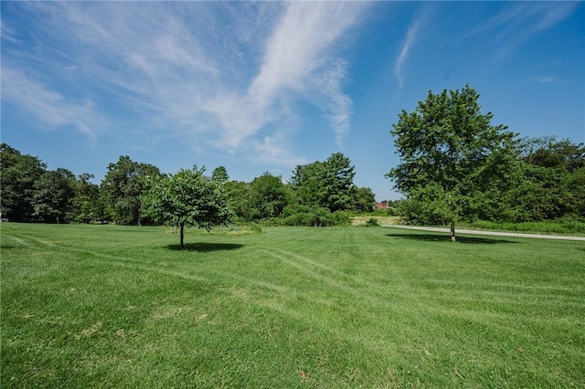 127 Lower Twolick Dr, White Twp, PA 15701 - photo 49
