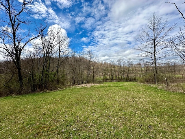 00 Hathaway Rd, Jefferson/Mather, PA 15370 - photo 12