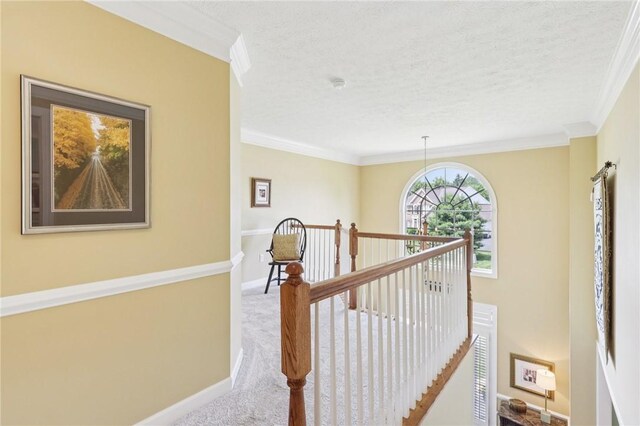 510 Shadow Ct, West Deer, PA 15044 - photo 24
