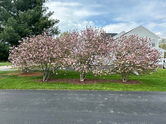 510 Shadow Ct, West Deer, PA 15044 - photo 42