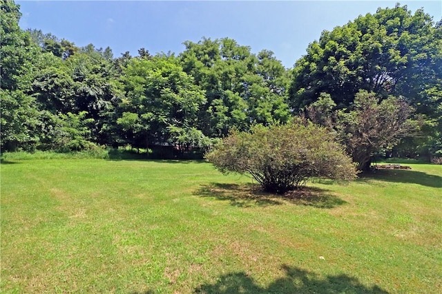 217 Hoffman Heights Rd, Salem Twp, PA 15601 - photo 21