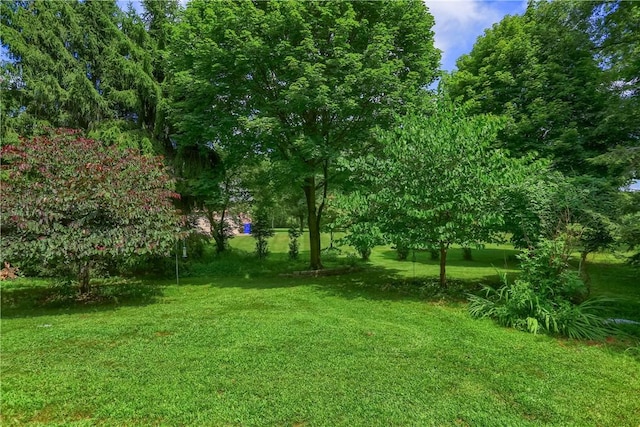 115 Timberview Trl, Jackson Twp, PA 16033 - photo 45