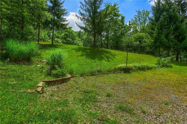 9650 Goehring Rd, Cranberry Twp, PA 16066 - photo 39