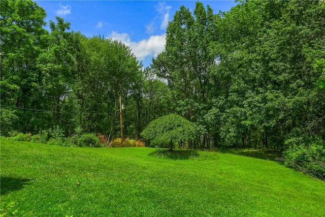 9650 Goehring Rd, Cranberry Twp, PA 16066 - photo 40