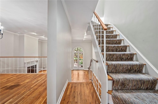4715 Bayard St, Shadyside, PA 15213 - photo 10