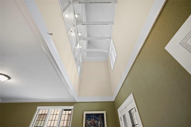 6819 Reynolds St, Point Breeze, PA 15208 - photo 30