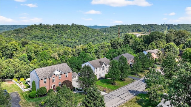 1514 Laurel Ridge Dr, Moon/Crescent Twp, PA 15046 - photo 43