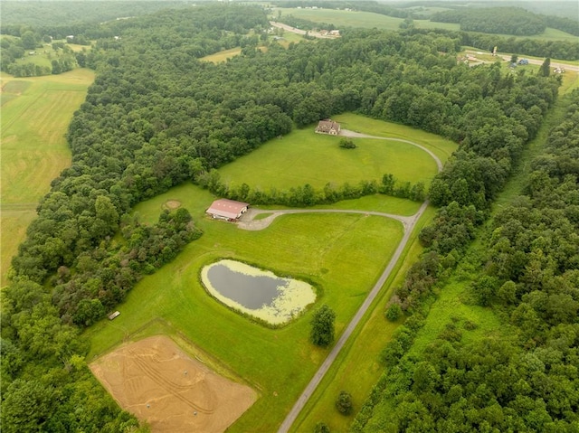 387 George Ln, E/W Wheatfield Twp, PA 15954 - photo 6