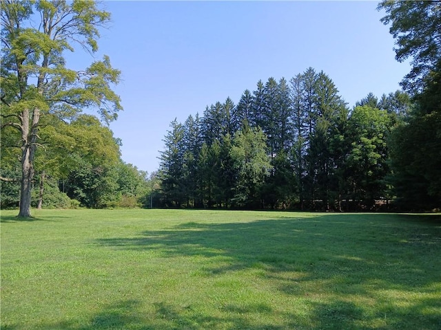 1167 Darlington Rd, Ligonier Twp, PA 15658 - photo 36