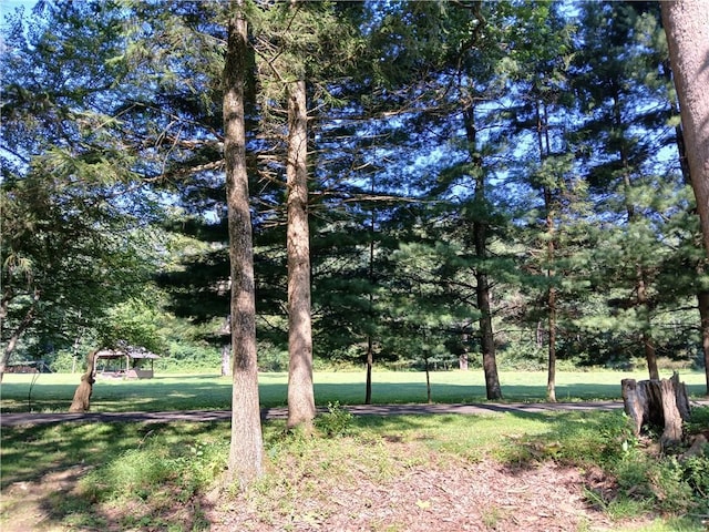 1167 Darlington Rd, Ligonier Twp, PA 15658 - photo 37