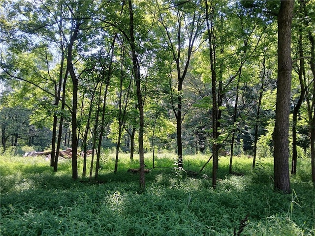 1167 Darlington Rd, Ligonier Twp, PA 15658 - photo 38