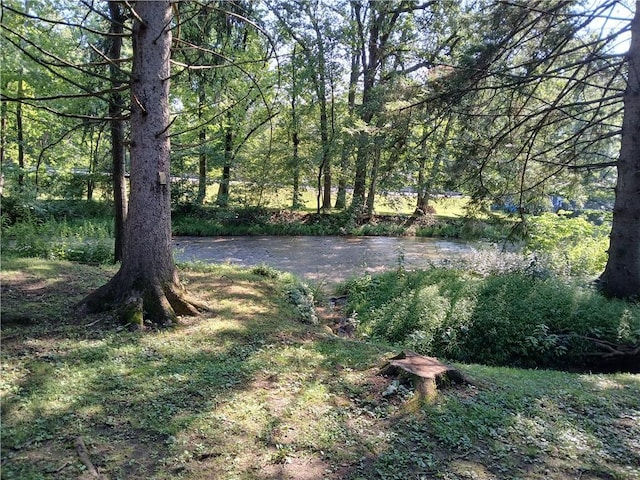 1167 Darlington Rd, Ligonier Twp, PA 15658 - photo 30