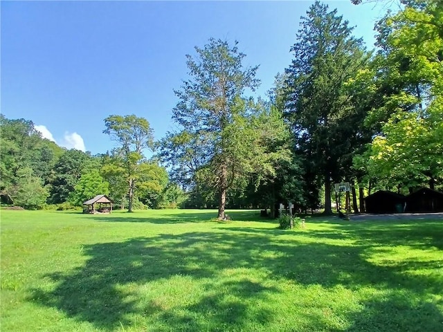 1167 Darlington Rd, Ligonier Twp, PA 15658 - photo 33