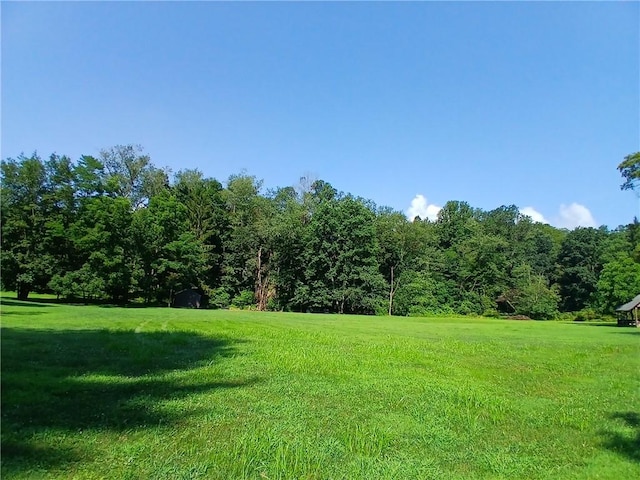 1167 Darlington Rd, Ligonier Twp, PA 15658 - photo 34