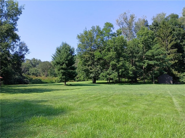 1167 Darlington Rd, Ligonier Twp, PA 15658 - photo 35