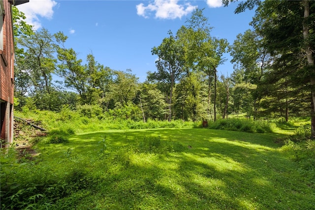 409 Valencia Rd, Adams Twp, PA 16046 - photo 25